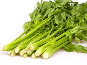 全家福膳食食堂蔬菜配送服務(wù)報價 南城蔬菜配送公司