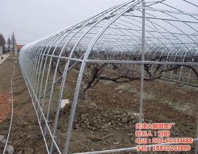 劉姐 蔬菜大棚配件廠家 長壽區(qū)大棚配件廠