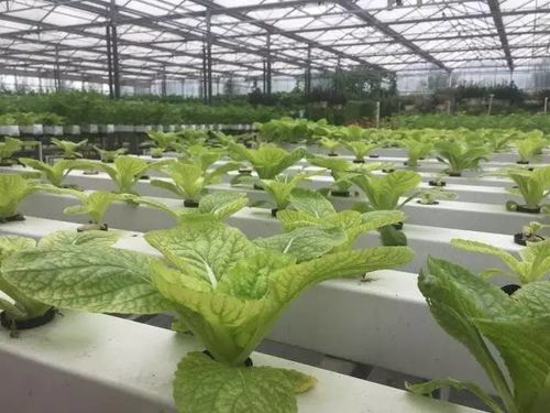 全球百項(xiàng)最佳科技創(chuàng)新獎(jiǎng)揭曉,9項(xiàng)中國黑科技華麗入選