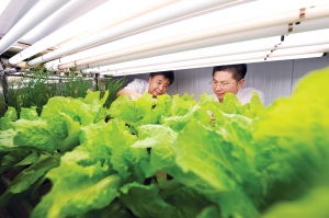 植物工廠首現揚城