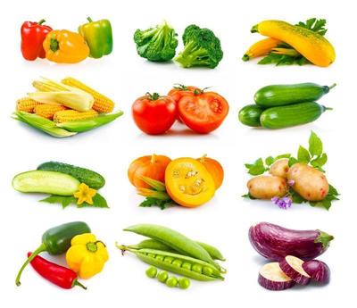 白色背景蔬菜集合