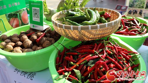 蘭州市西固區舉辦2024年中國農民豐收節慶?；顒? class=