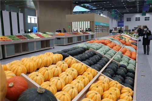 青島農業 國際客廳 開門納客,2022年建成后預計可實現年產值約120億元