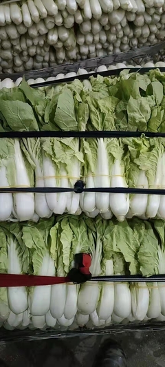 廈令贏蔬菜配送 福田區(qū)梅林工廠的優(yōu)質(zhì)蔬菜供應(yīng)商