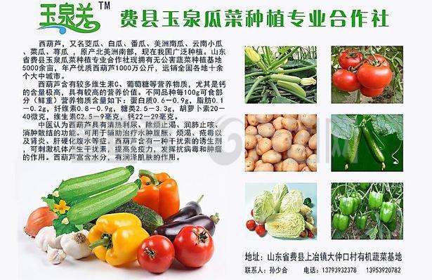 新鮮直達(dá)，品質(zhì)承諾——綠色蔬菜產(chǎn)品宣傳與農(nóng)副產(chǎn)品收購(gòu)服務(wù)