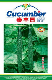 供應(yīng)黃瓜種子 泰豐園6號(hào)，泰安市泰豐園藝，中國(guó)蔬菜網(wǎng)產(chǎn)品庫